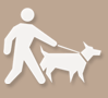 Chiens tenus en laisse